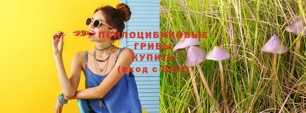 соль ск Вязьма