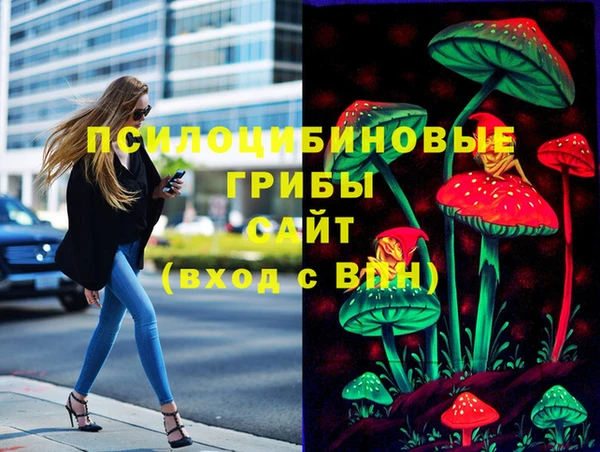 соль ск Вязьма